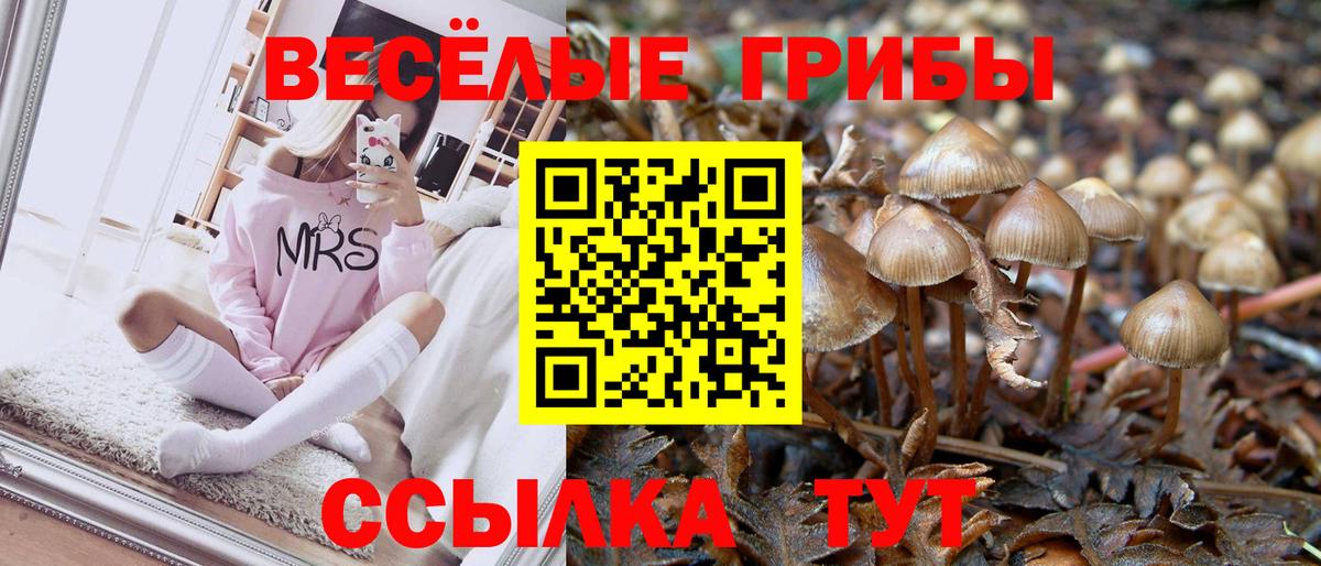 Малоярославец  Галлюциногенные грибы мухоморы  Вход с VPN 